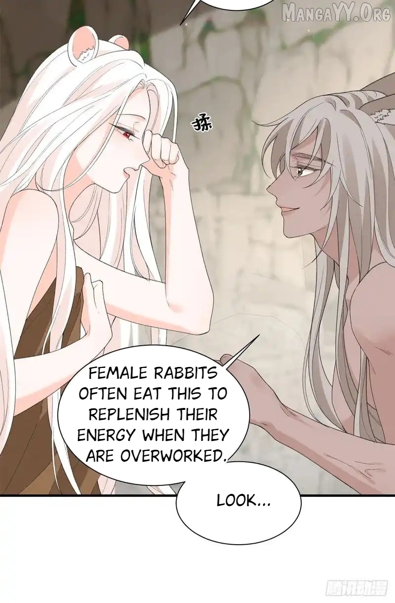 Taming the Beasts With Multi-Pregnancy System Chapter 27 - page 22